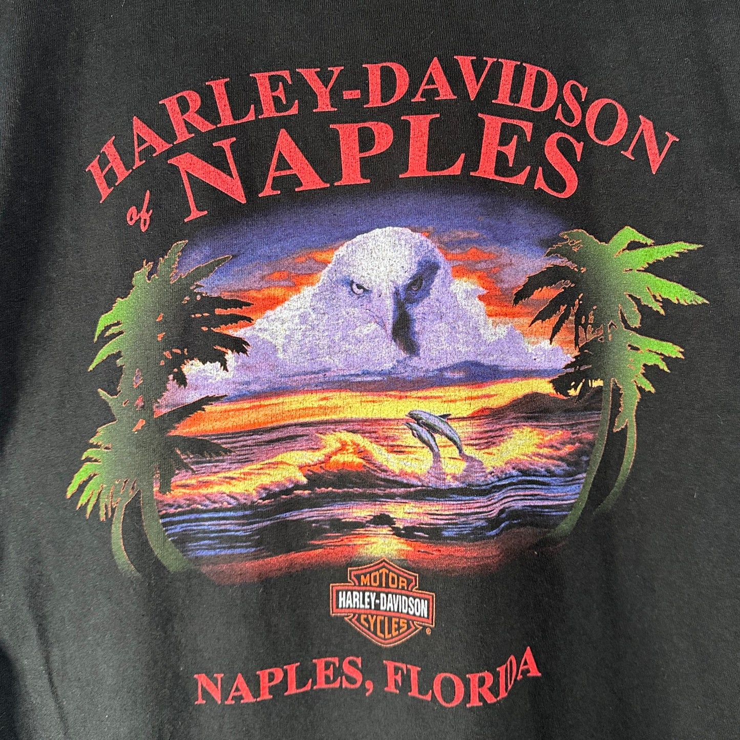 Harley Davidson Y2K Fat Boy Naples Florida Black Tank