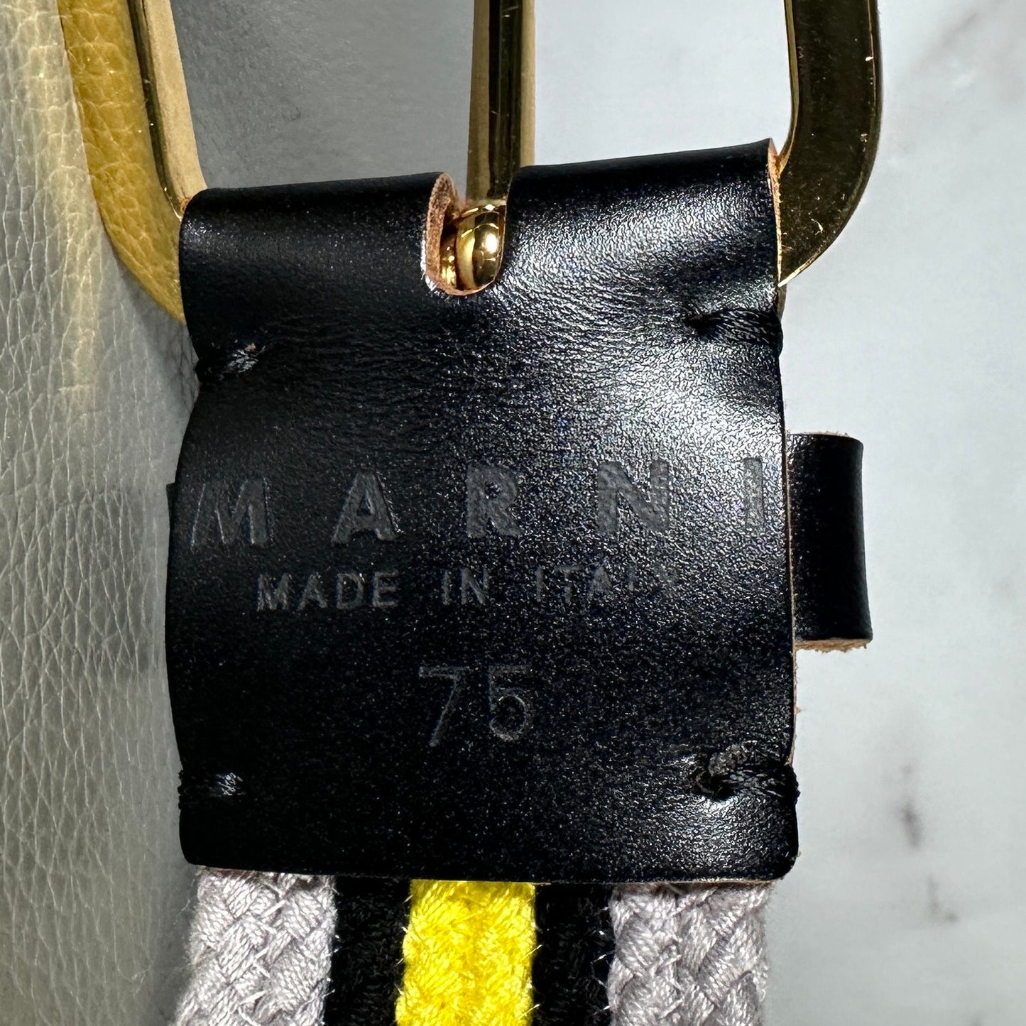 Marni Knit Web Belt
